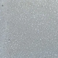 درود.فروش موزائیک حیاطی اتاقی وپشت بامی ابعاد30*30|مصالح و تجهیزات ساختمان|یزد, |دیوار