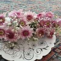 گل کنارسینی خاستگاری