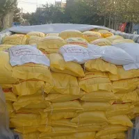 اقساطی برنج و لاشه هاشمی گیلان