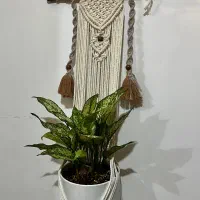 فروش آویز گلدان مکرومه دست بافت