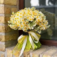 پیاز گل نرگس درجه یک