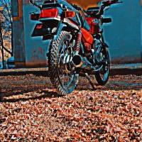 هندا شکاری 150|موتورسیکلت|کرمان, |دیوار