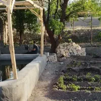 باغچه-در-وشنوه