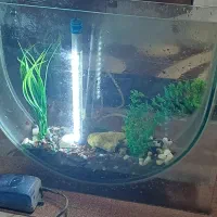 اکواریوم با تمام تجهیزات