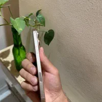 ایفون 16پرومکس|موبایل|مشهد, امام خمینی|دیوار