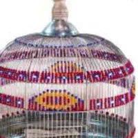 جوجه قناری خاکی