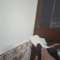 شکارامروزدربف|حیوانات|بناب, |دیوار