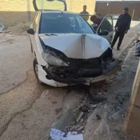 ۲۰۶ تیپ ۲ تصادفی|خودرو سواری و وانت|مرودشت, شهرک مهدیه|دیوار