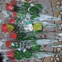 تعداد زیاد گل و گل خشک|گل مصنوعی|قرچک, پارس سرام|دیوار