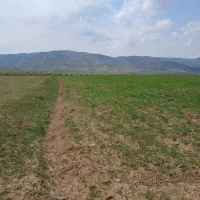 زمین-زراعی