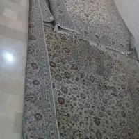 ۳عدد فرش دستبافت کاشان دستباف|فرش|نسیم‌شهر, |دیوار