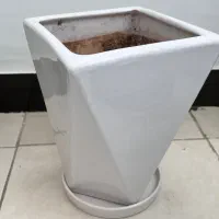 گلدان|گل و گیاه طبیعی|اهواز, کوی نفت|دیوار