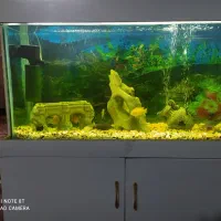 اکواریم کامل