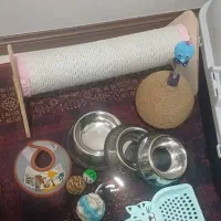 لوازم گربه