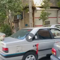 ۴۰۵سرقت شده|اشیا|مشهد, عنصری|دیوار