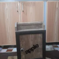 جاکفشی بچه