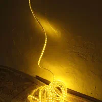 لامپ ر یسه معاوضه با پرنده