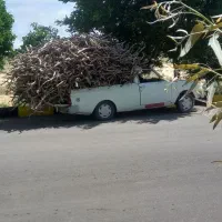 خرید چوپ
