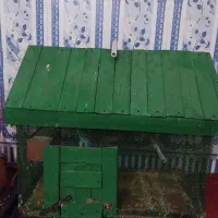 قفس پرندگان