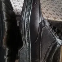 کفش نیم بوت|کیف، کفش، کمربند|تهران, تهرانسر غربی|دیوار