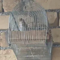 سهره دورگ سپیدان