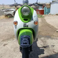 پاکشتی
