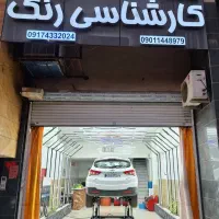 کارشناسی رنگ و فنی انواع خودرو های خارجی و ایرانی|خدمات موتور و ماشین|شیراز, ریشمک|دیوار