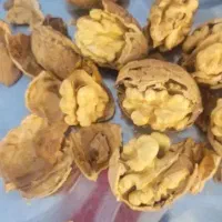 گردو درجه یک وشنوه|خوردنی و آشامیدنی|قم, انسجام|دیوار