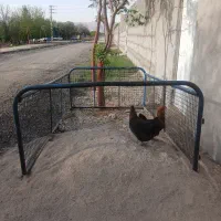 باربند دوم طوری نیسان