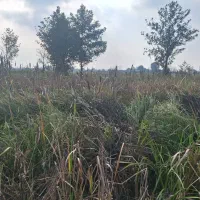 زمین 500متر مسکونی دار|فروش زمین و ملک کلنگی|رشت, سلیمانداراب|دیوار