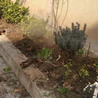 باغبانی گلکاری هرس کردن کود نهال شخم در تمام نقاط