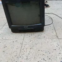تلوزیون