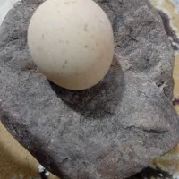 سنگ قدیمی