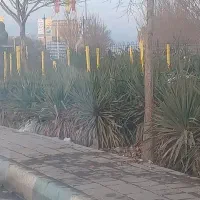 شارژ کپسول اکسیژن