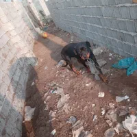 واگذاری لودفایدر ریگان نیست|سگ|رودبنه, |دیوار