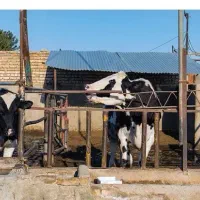 خونه-مسکونی-به-همراه-بهاربند