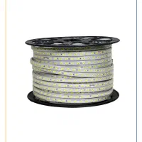 ریسه شلنگی ۵۷۳وو۴ با گارانتی|ریسه و چراغ تزئینی|مشهد, سعد آباد|دیوار