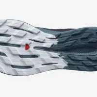 کتونی تریل سالامون