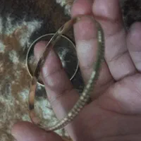 النگو رنگ ثابت|بدلیجات|قم, باجک دو|دیوار