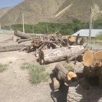 کارچوب بری
