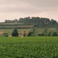 یک قطعه زمین از مجموعه بهشتی