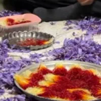 گل زعفران اصل|خوردنی و آشامیدنی|تهران, منیریه|دیوار