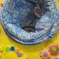 وسایل بچه|اسباب و اثاث بچه|امیدیه, |دیوار