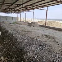 باغبان و چوپان و وارد به کار شترمرغ