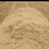 فروش 8خروارکاه