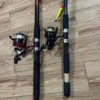 لنسر ماهی گیری