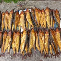 ماهی دودی اصل