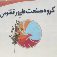 دستگاه جوجه کشی ققنوس