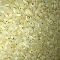 برنج چمپا چیتاب و صالحون