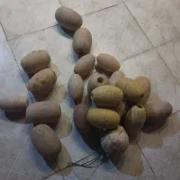 وسایل صیادی کرب گوفه لوله روغن وینج
